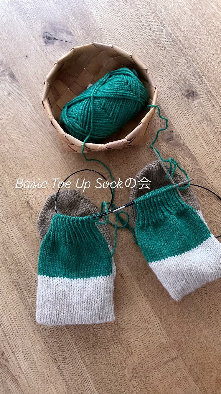 basic toe up sock