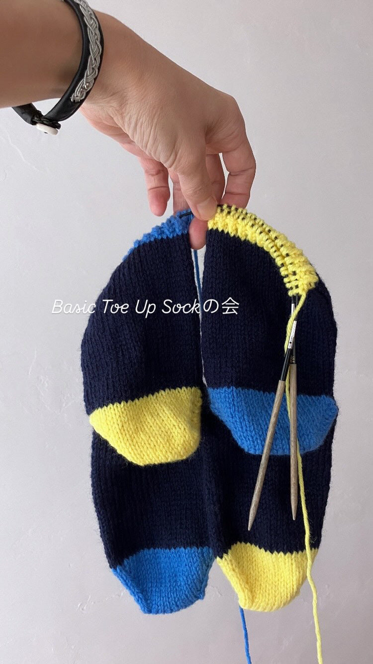 basic toe up sock