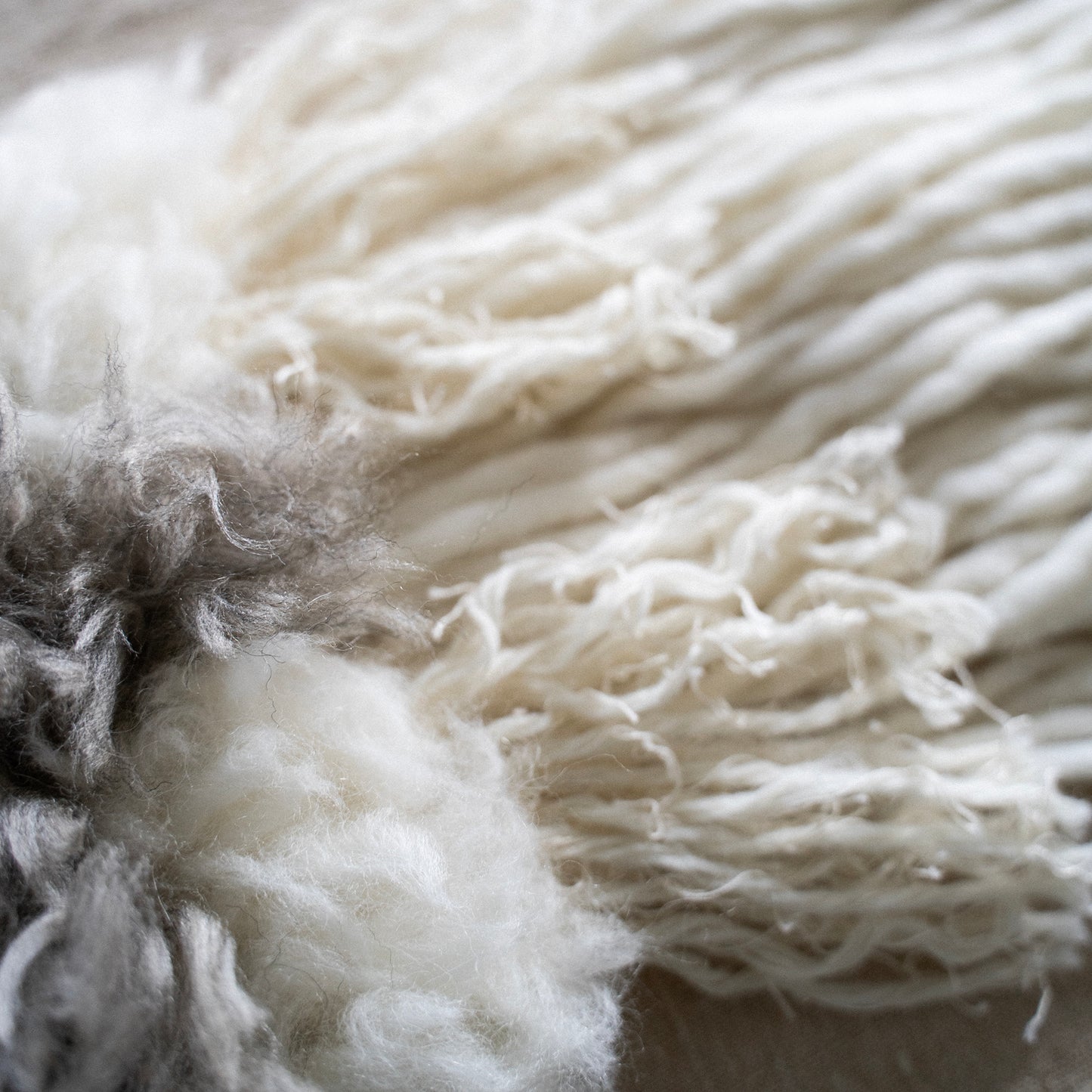 coya  --- 日々を彩るタペストリー展 ---