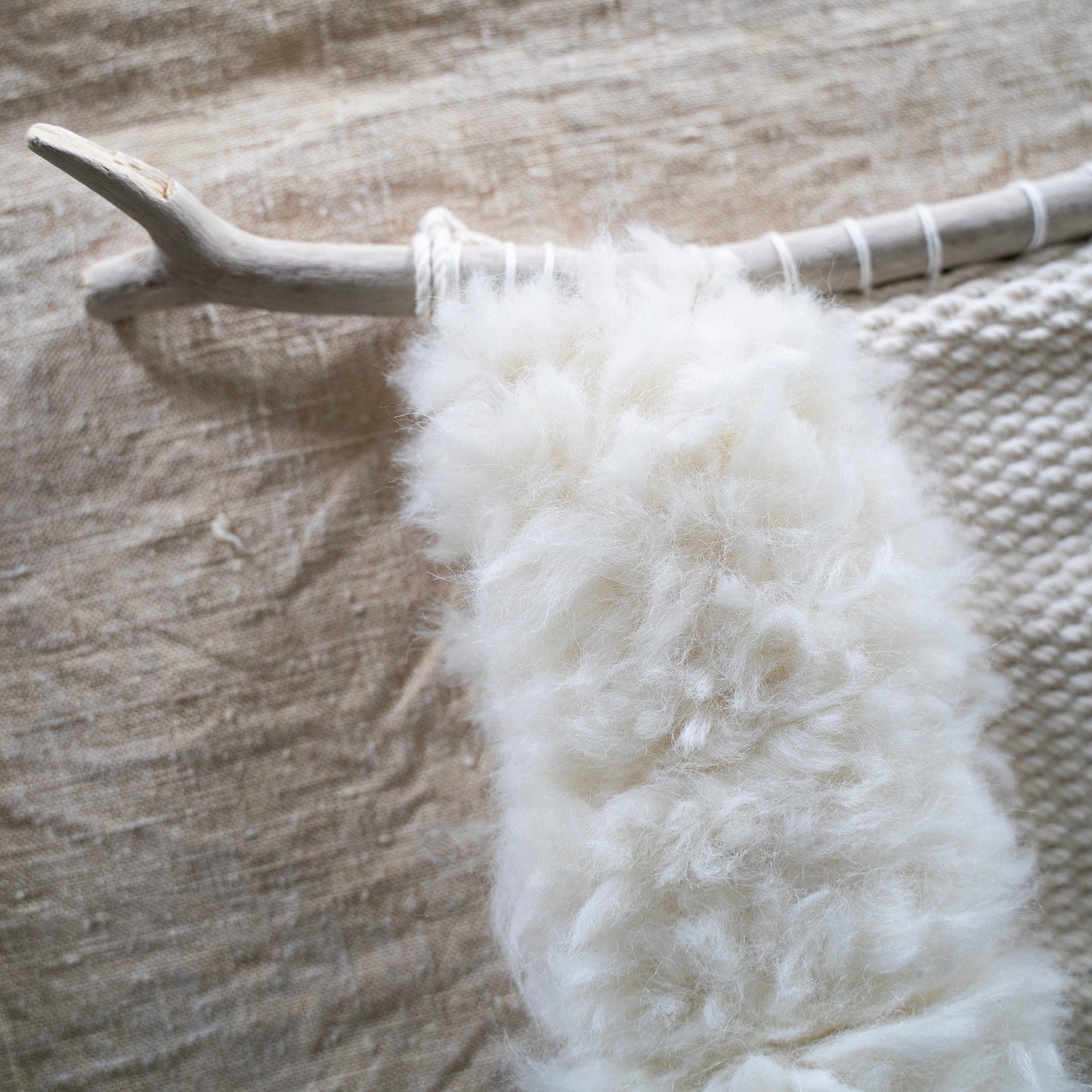 coya  --- 日々を彩るタペストリー展 ---